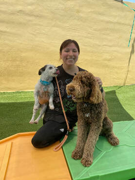 Team member with dog