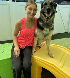Groomer apprentice with dog