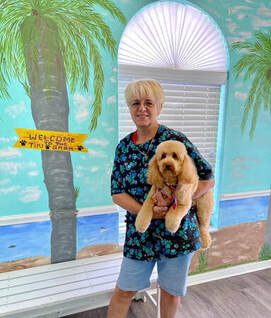 Professional groomer with dog