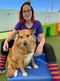 Team member with dog