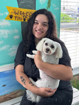Professional groomer with dog