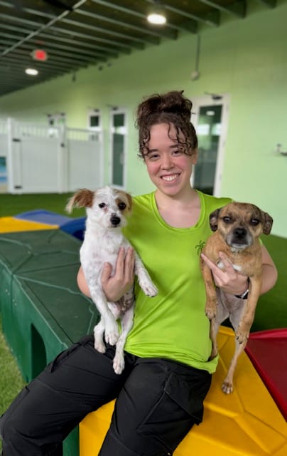 Groomer holding two dogs