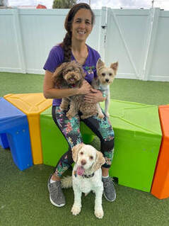 Professional groomer with dog