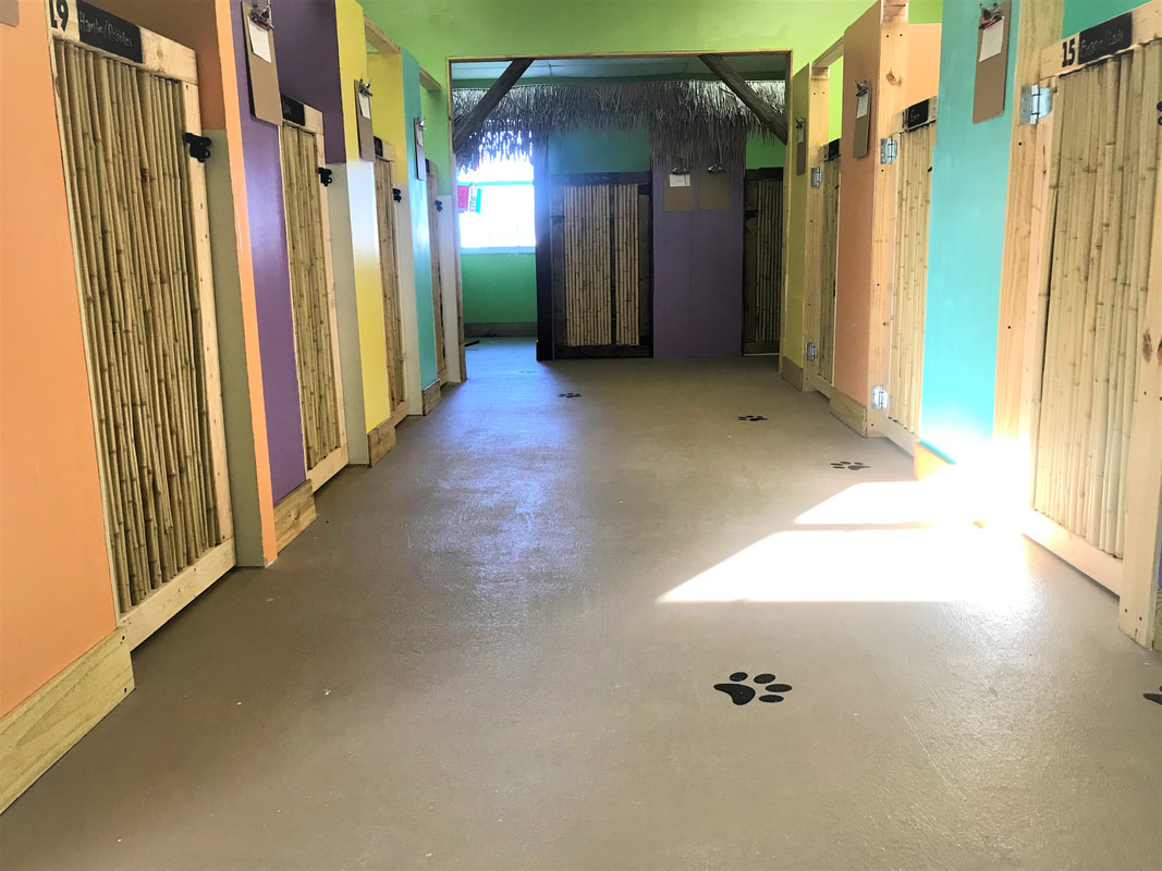 Tiki-themed boarding area featuring multiple luxury suites for dogs