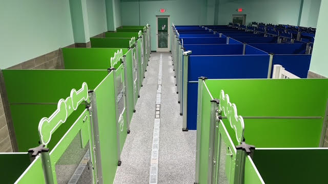 Green and blue boarding kennels at Tiki Tails