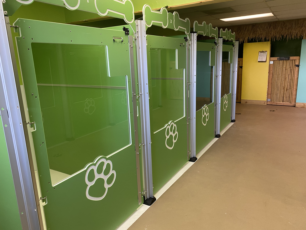 Row of spacious green boarding suites at Tiki Tails Dog Resort