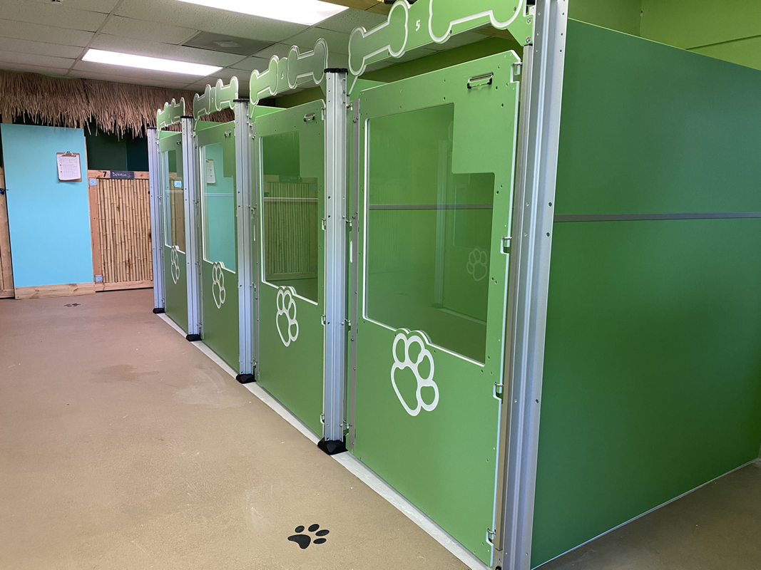 Another view of the green boarding suites showing spacious accommodations