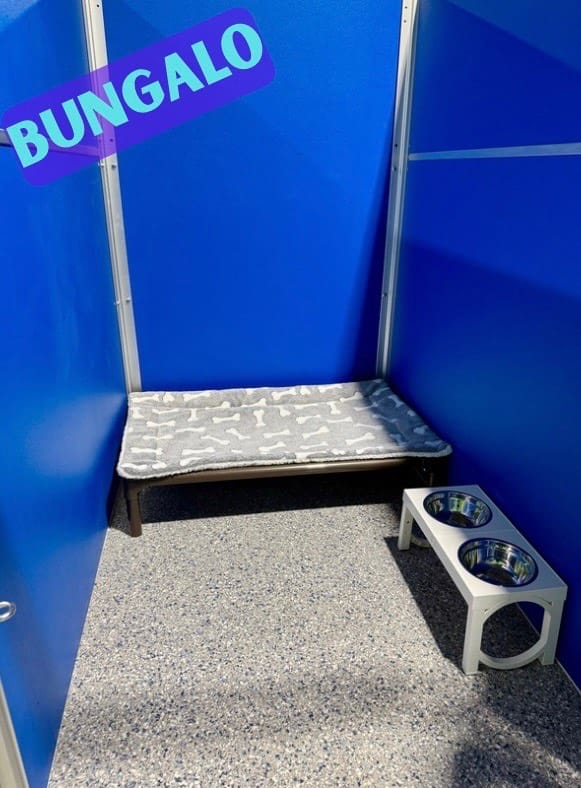 Bungalow suite at Tiki Tails