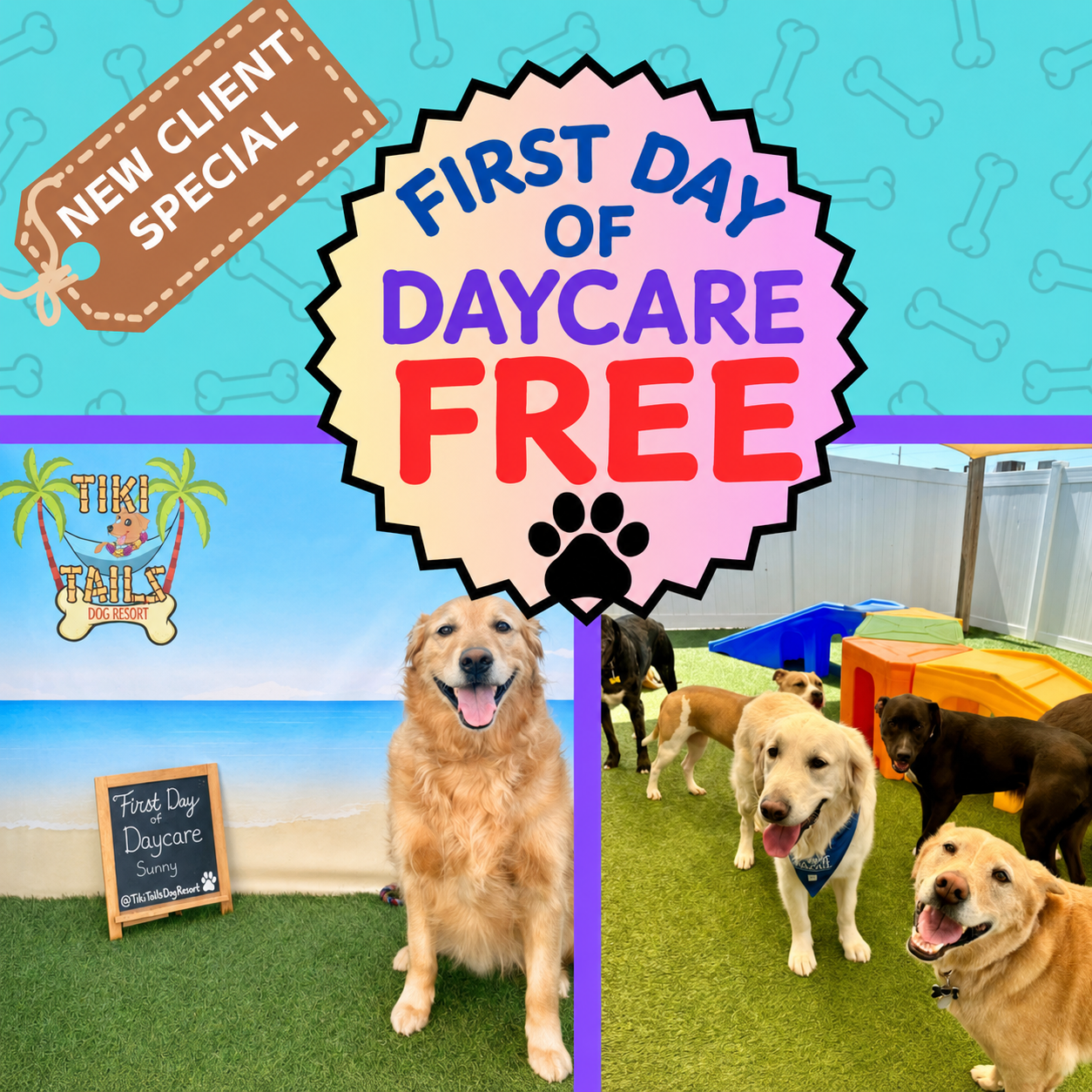 New Client Special at Tiki Tails Dog Resort